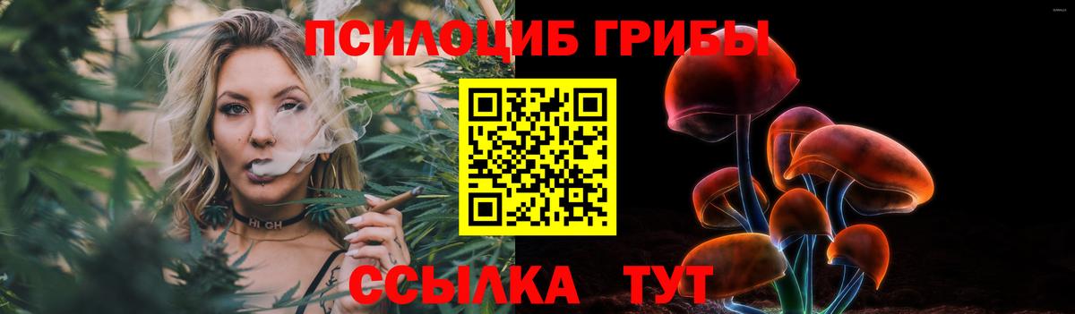 Надым  Галлюциногенные грибы GOLDEN TEACHER  продажа наркотиков  Вход с VPN  Галлюциногенные грибы Cubensis 