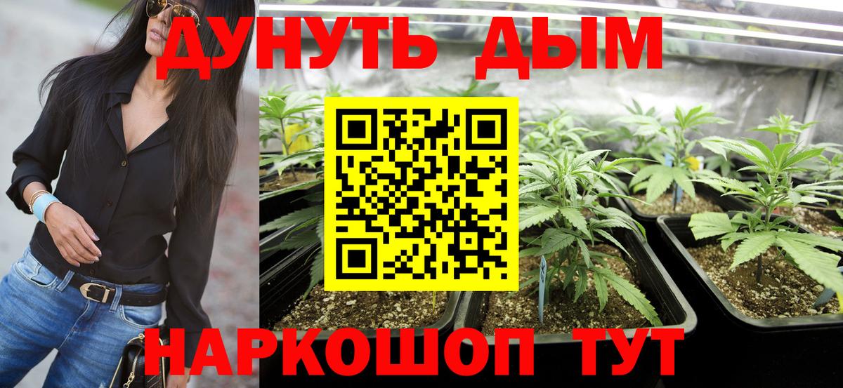 Бошки Шишки Bruce Banner Надым